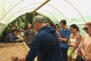 Minca: Ganztägige Minca-Tour mit Jungle Joe