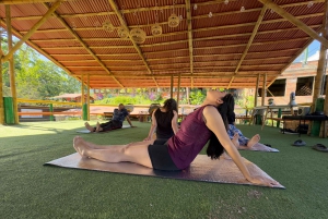 Минка: день с обедом, кофейным пилингом и экологической прогулкой