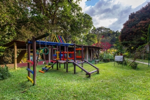 Минка: день с обедом, кофейным пилингом и экологической прогулкой