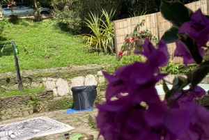 Minca: äänikylpy- ja poreamme-elämys