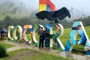 Salento: Mini-ekspedition til hjertet af Cocora-dalen