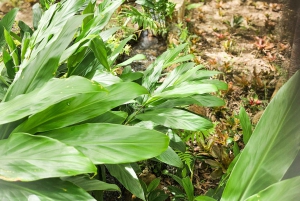 Molino De La Mesoptamia Historic Tour with Tastings