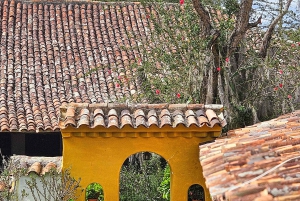 Molino De La Mesoptamia Historic Tour with Tastings