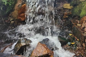 Molino De La Mesoptamia Historic Tour with Tastings