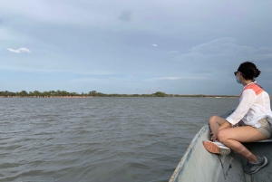 Palomino: Sanctuary of Flamingos Day Tour