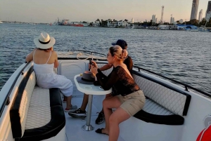 Partybåt i Cartagena-bukten med NightClub-billett