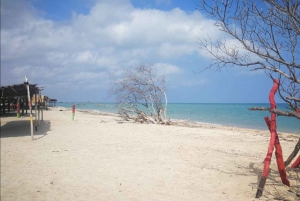 Rosa Flamingos, Ranchería und Sonnenuntergang in Mayapo