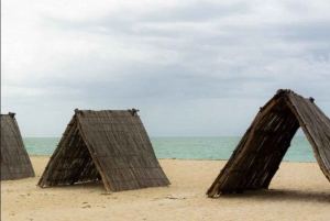 Rosa Flamingos, Ranchería und Sonnenuntergang in Mayapo