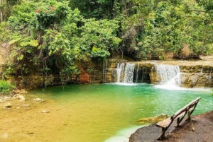 Privat Samaná: Los Haitises Park, Caño Hondo & Yanigua Tour