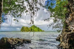 Privat Samaná: Los Haitises Park, Caño Hondo & Yanigua Tour