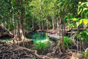 Privat Samaná: Los Haitises Park, Caño Hondo & Yanigua Tour