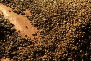 Arhuaco – rdzenna wioska w Mince: natura i mądrość