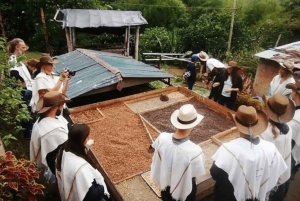 Excursión a Salento y Cócora + Finca de Café desde Pereira/Armenia