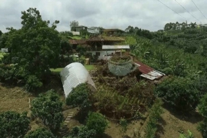 Excursión a Salento y Cócora + Finca de Café desde Pereira/Armenia