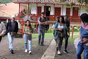 Excursión a Salento y Cócora + Finca de Café desde Pereira/Armenia
