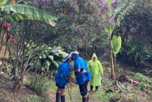 Excursión a Salento y Cócora + Finca de Café desde Pereira/Armenia