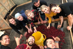 Salento: Cocora Valley Tour with Coffee Farm Visit