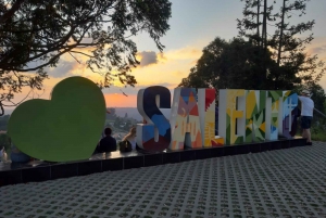 Salento: Cocora Valley Tour with Coffee Farm Visit