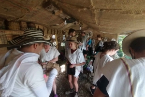 Salento: Cocora Valley Tour with Coffee Farm Visit