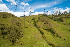 Salento: Cocora Valley Tour with Coffee Farm Visit