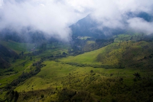 Salento: Cocora Valley Tour with Coffee Farm Visit