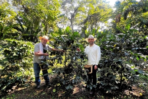 Salento: gedeelde tour door een koffieboerderij