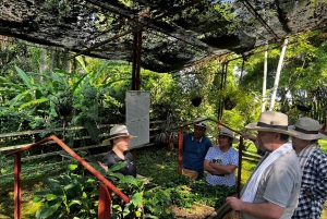 Salento: gedeelde tour door een koffieboerderij