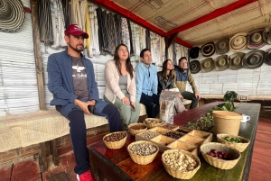 Salento: gedeelde tour door een koffieboerderij