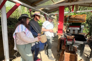 Salento: gedeelde tour door een koffieboerderij