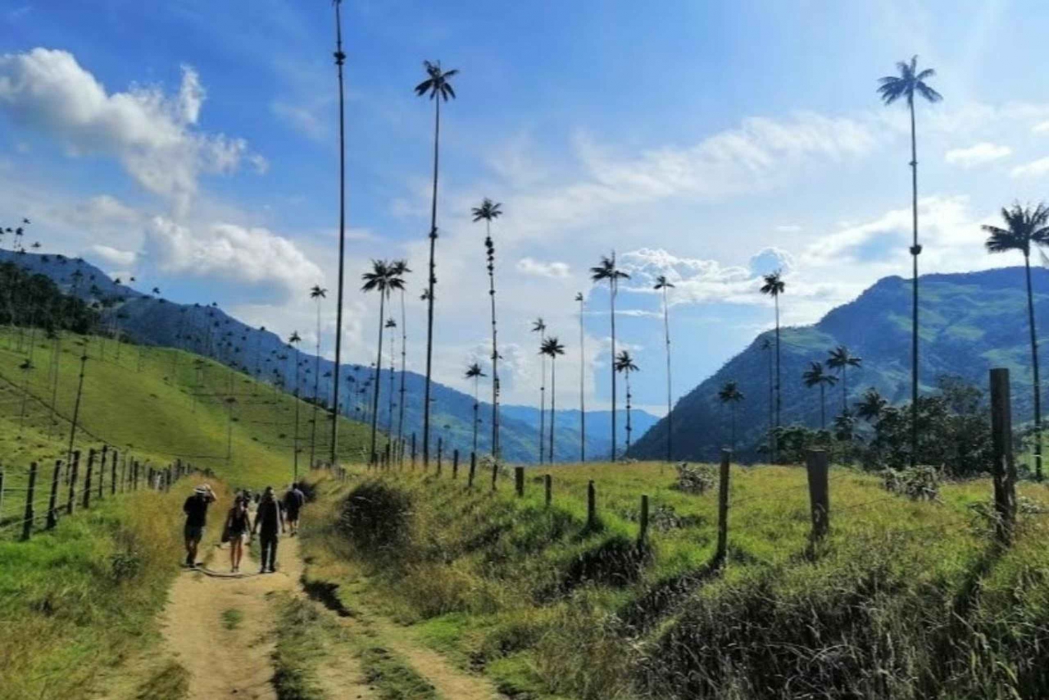 Salento: Excursão ao Salento e ao Vale de Cocora