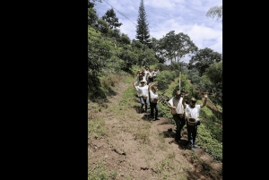Salento: tradycyjna wycieczka kawowa z przejażdżką Jeepem Willys