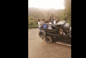 Salento: tradycyjna wycieczka kawowa z przejażdżką Jeepem Willys