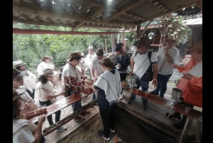 Salento: tradycyjna wycieczka kawowa z przejażdżką Jeepem Willys