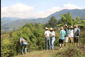 Salento: tradycyjna wycieczka kawowa z przejażdżką Jeepem Willys