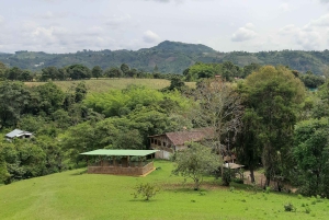 San Agustin, Huila: Wycieczka 'Wielki dzień'