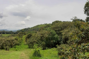 San Agustin, Huila: Wycieczka 'Wielki dzień'