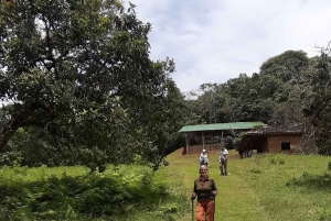 San Agustin, Huila: Wycieczka 'Wielki dzień'