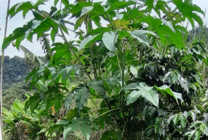 San Agustin, Huila: Wycieczka 'Wielki dzień'