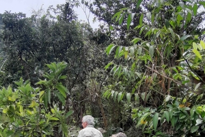 San Agustin, Huila: Wycieczka 'Wielki dzień'