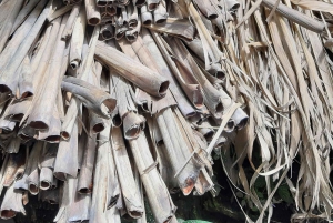 San Agustin, Huila: Wycieczka 'Wielki dzień'