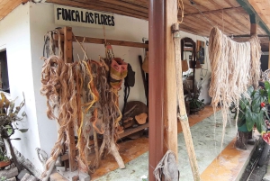 San Agustin, Huila: Wycieczka 'Wielki dzień'