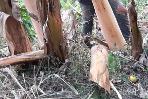 San Agustin, Huila: Wycieczka 'Wielki dzień'