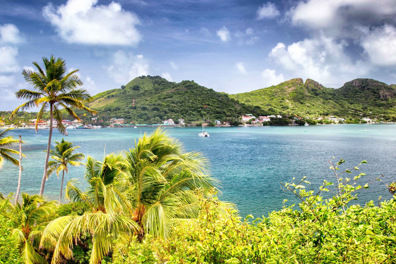 Сан-Андрес: Экскурсия по рифам и мангровым зарослям