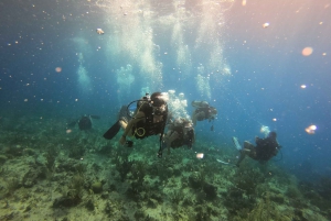 San Andrés: Guided Scuba Diving Trip with Hotel Transfer