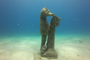 San Andrés: Guided Scuba Diving Trip with Hotel Transfer