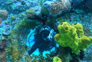San Andrés : cours PADI Open Water Diver avec certification