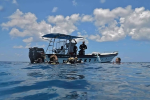San Andrés : cours PADI Open Water Diver avec certification