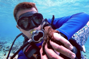 San Andres: SCUBA Diving Experience with Hotel Pickup