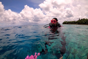 San Andres: SCUBA Diving Experience with Hotel Pickup