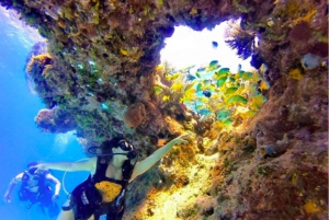 San Andres: SCUBA Diving Experience with Hotel Pickup